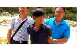 淇县为什么选择专业追讨公司来处理您的债务纠纷？